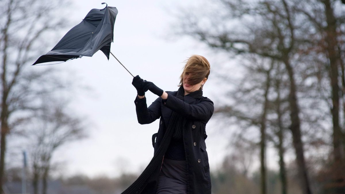 Ilustrační fotografie.