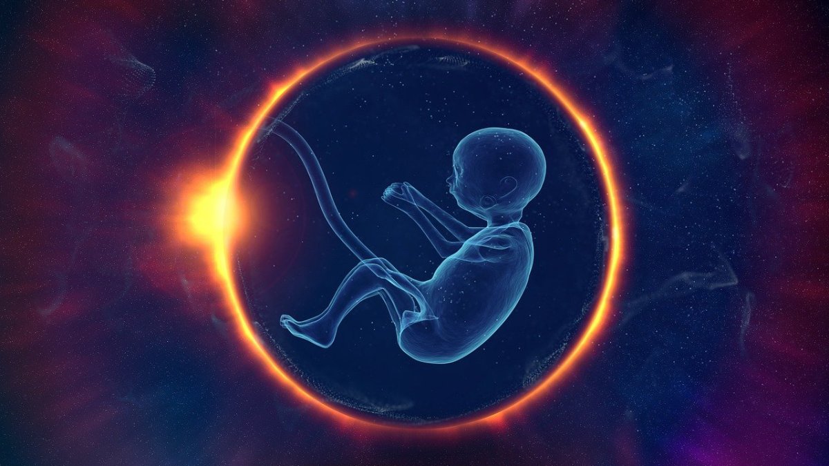 Ilustrační foto