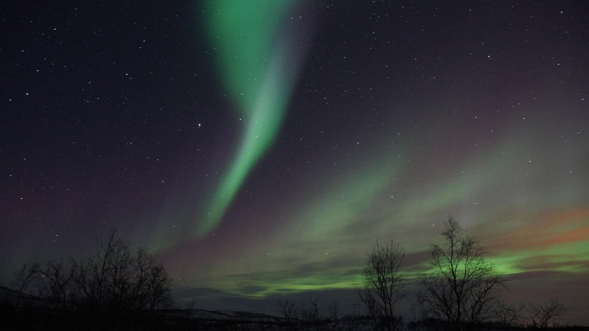 Ilustrační fotografie. 