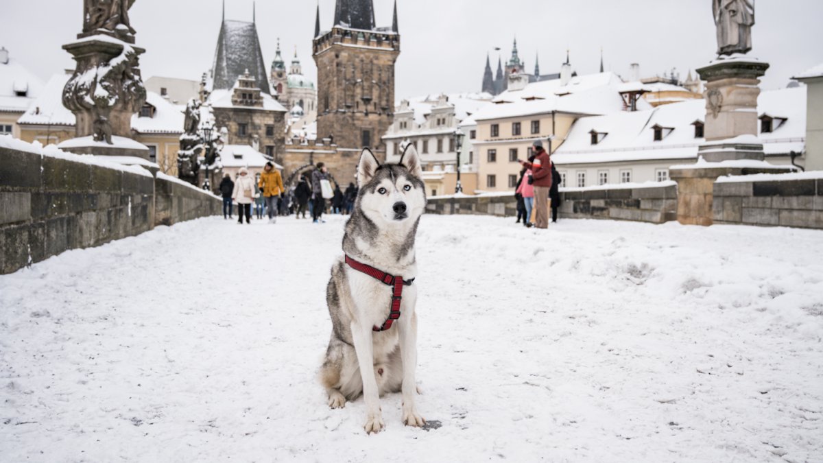Sníh v Česku, ilustrační fotografie. 